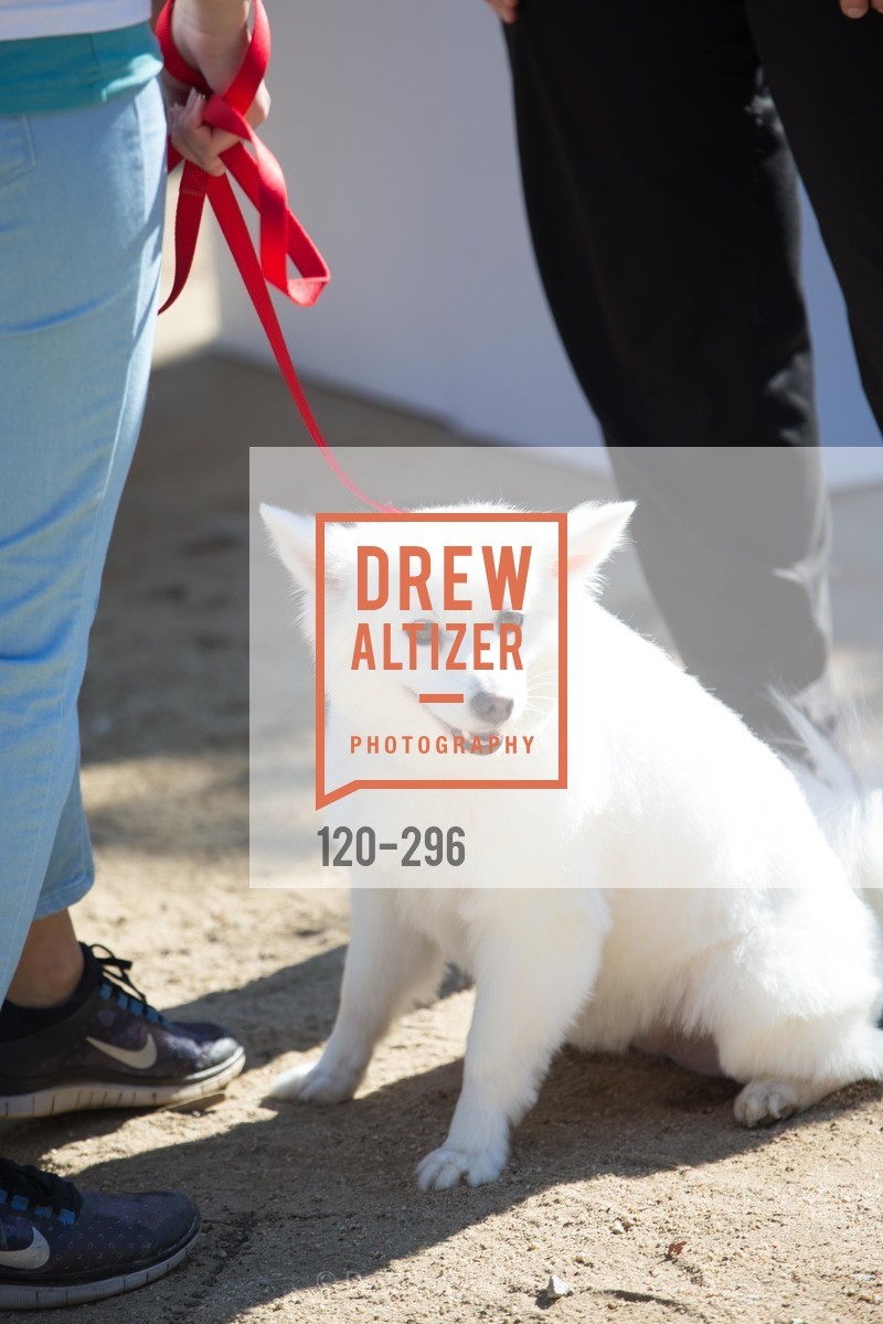 Extras, American Liver Foundation - San Francisco Liver Life Walk 2015, September 20th, 2015, Photo,Drew Altizer, Drew Altizer Photography, full-service agency, private events, San Francisco photographer, photographer california