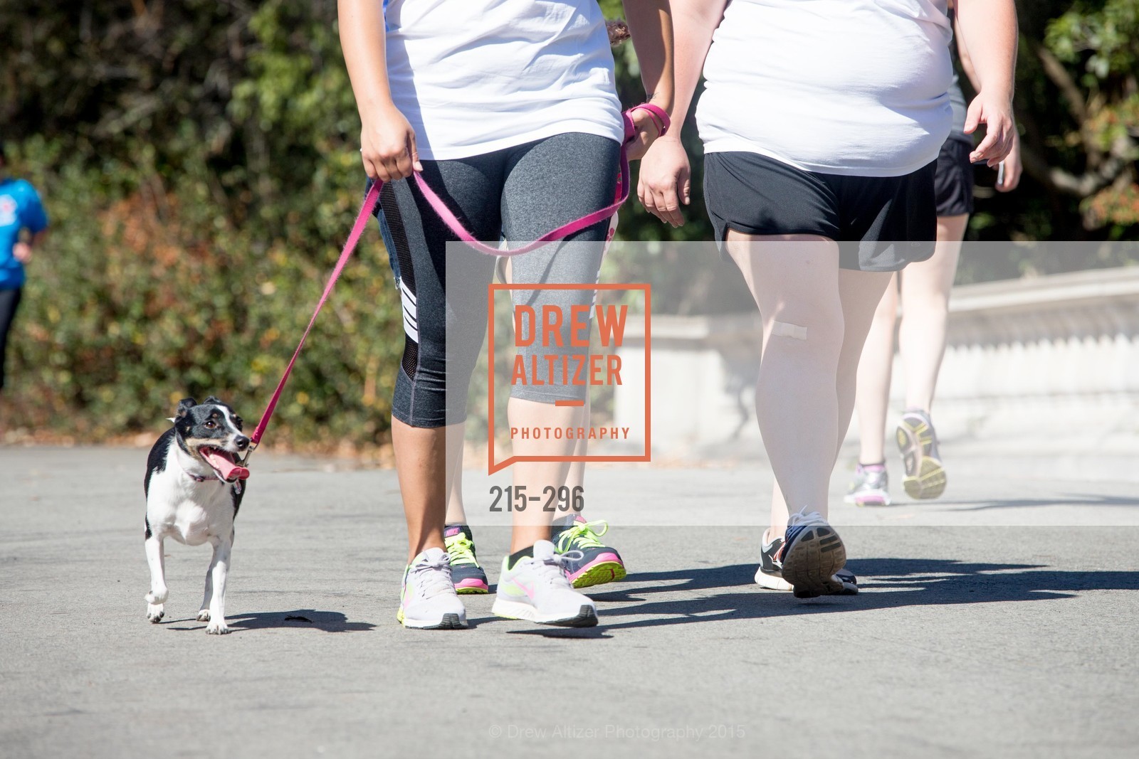 Atmosphere, American Liver Foundation - San Francisco Liver Life Walk 2015, September 20th, 2015, Photo,Drew Altizer, Drew Altizer Photography, full-service agency, private events, San Francisco photographer, photographer california