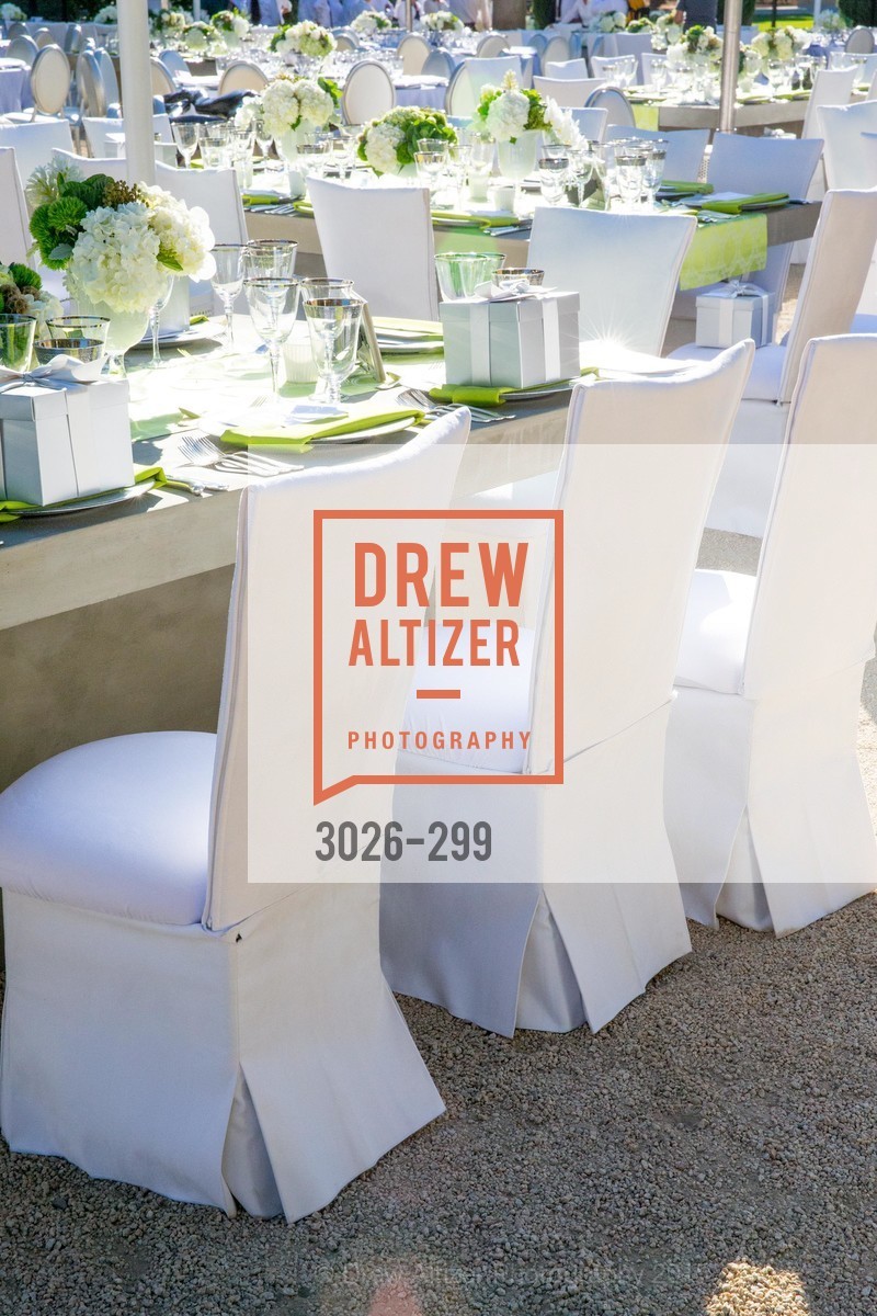 Atmosphere, Stanford University's Cantor Arts Center Presents Rodin by Moonlight, Stanford University, September 19th, 2015,Drew Altizer, Drew Altizer Photography, full-service agency, private events, San Francisco photographer, photographer california