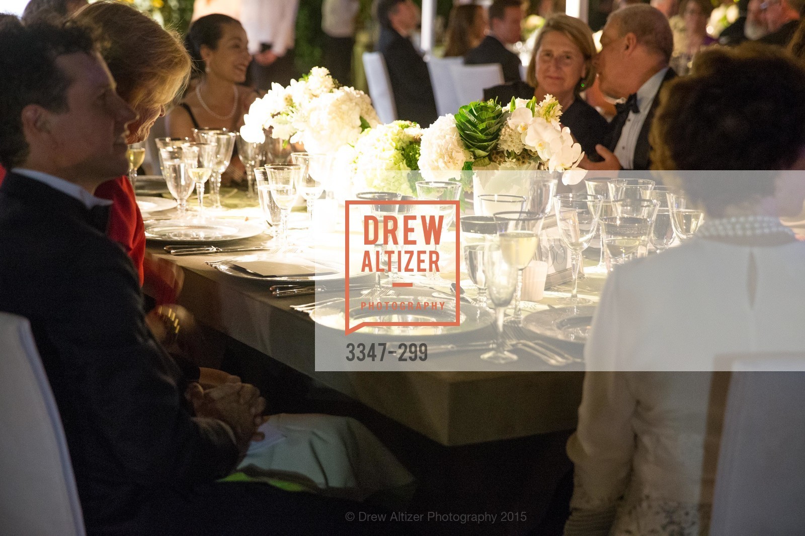 Atmosphere, Stanford University's Cantor Arts Center Presents Rodin by Moonlight, Stanford University, September 19th, 2015,Drew Altizer, Drew Altizer Photography, full-service agency, private events, San Francisco photographer, photographer california