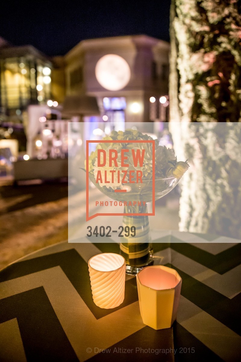 Atmosphere, Stanford University's Cantor Arts Center Presents Rodin by Moonlight, Stanford University, September 19th, 2015,Drew Altizer, Drew Altizer Photography, full-service agency, private events, San Francisco photographer, photographer california