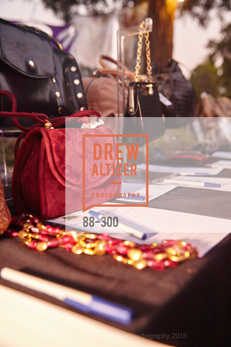 Atmosphere, Breast Cancer Awareness Fund Presents This Old Bag Silicon Valley Preview Party, Private Residence, September 19th, 2015,Drew Altizer, Drew Altizer Photography, full-service agency, private events, San Francisco photographer, photographer california