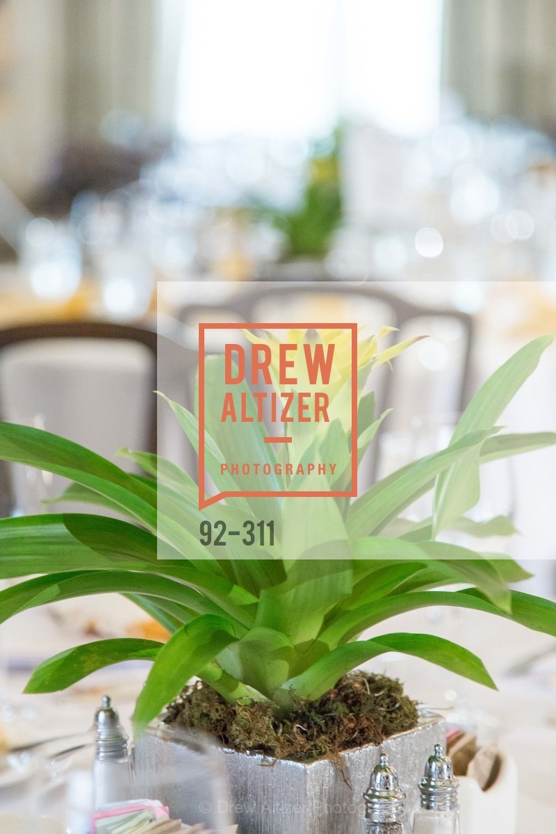 Atmosphere, Metropolitan Club/Centennial Fashion Show, September 24th, 2015, Photo,Drew Altizer, Drew Altizer Photography, full-service agency, private events, San Francisco photographer, photographer california