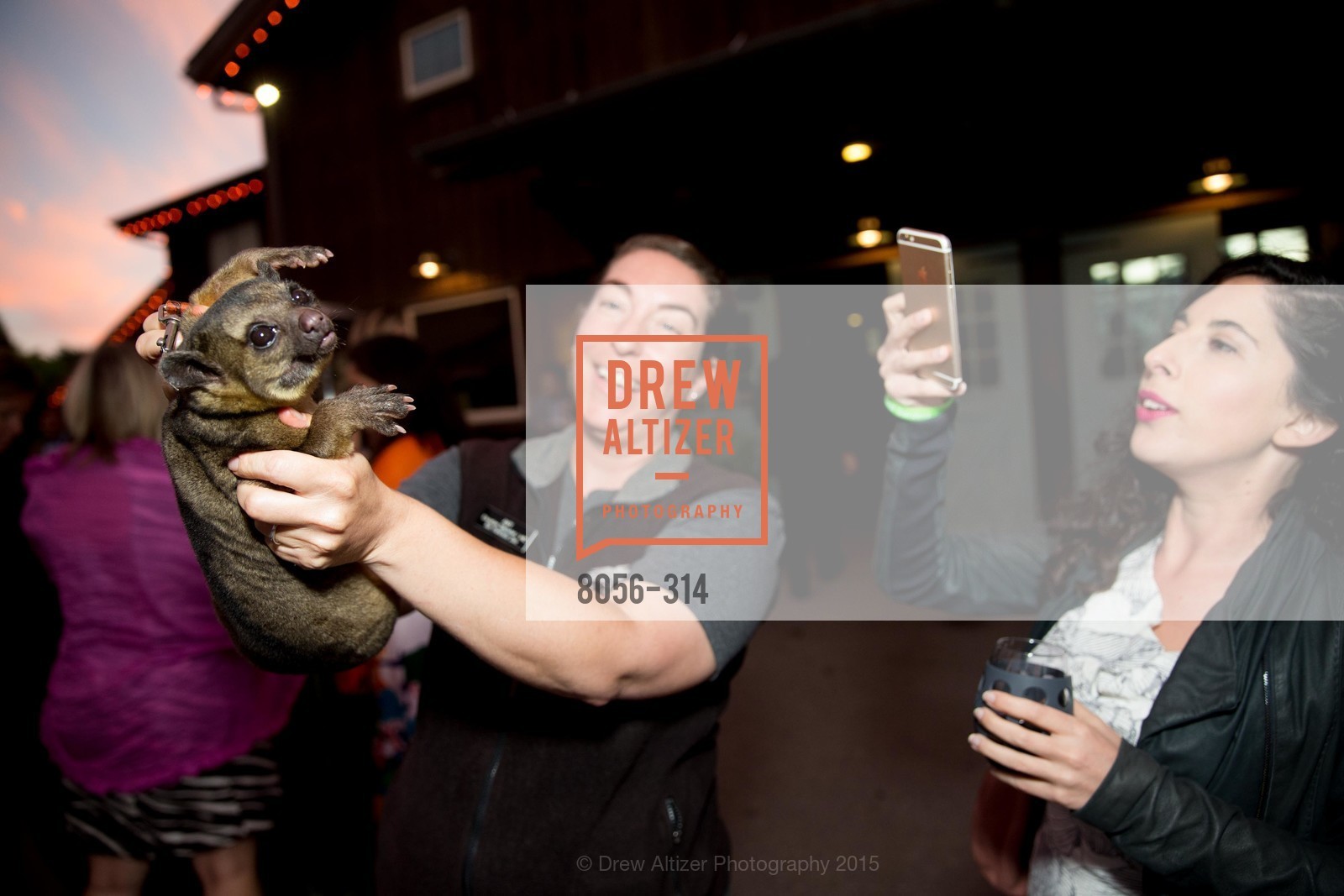 Amy Goodwin, San Francisco Zoo Fur Ball, San Francisco Zoo, September 25th, 2015,Drew Altizer, Drew Altizer Photography, full-service event agency, private events, San Francisco photographer, photographer California