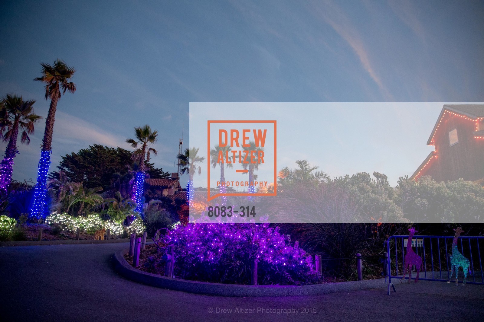 Atmosphere, San Francisco Zoo Fur Ball, San Francisco Zoo, September 25th, 2015,Drew Altizer, Drew Altizer Photography, full-service event agency, private events, San Francisco photographer, photographer California