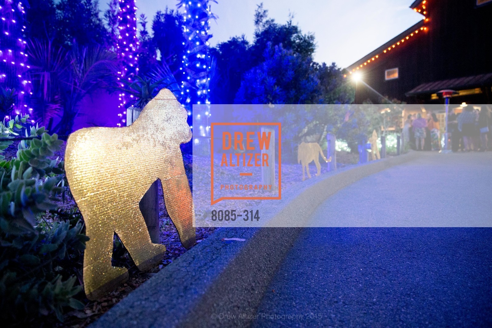 Atmosphere, San Francisco Zoo Fur Ball, San Francisco Zoo, September 25th, 2015