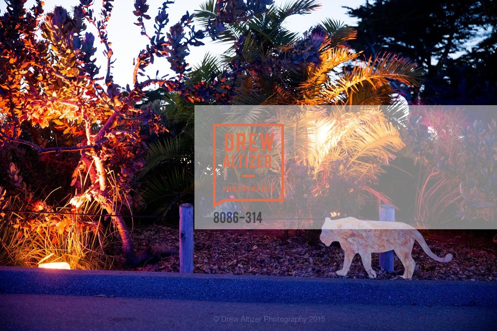 Atmosphere, San Francisco Zoo Fur Ball, San Francisco Zoo, September 25th, 2015