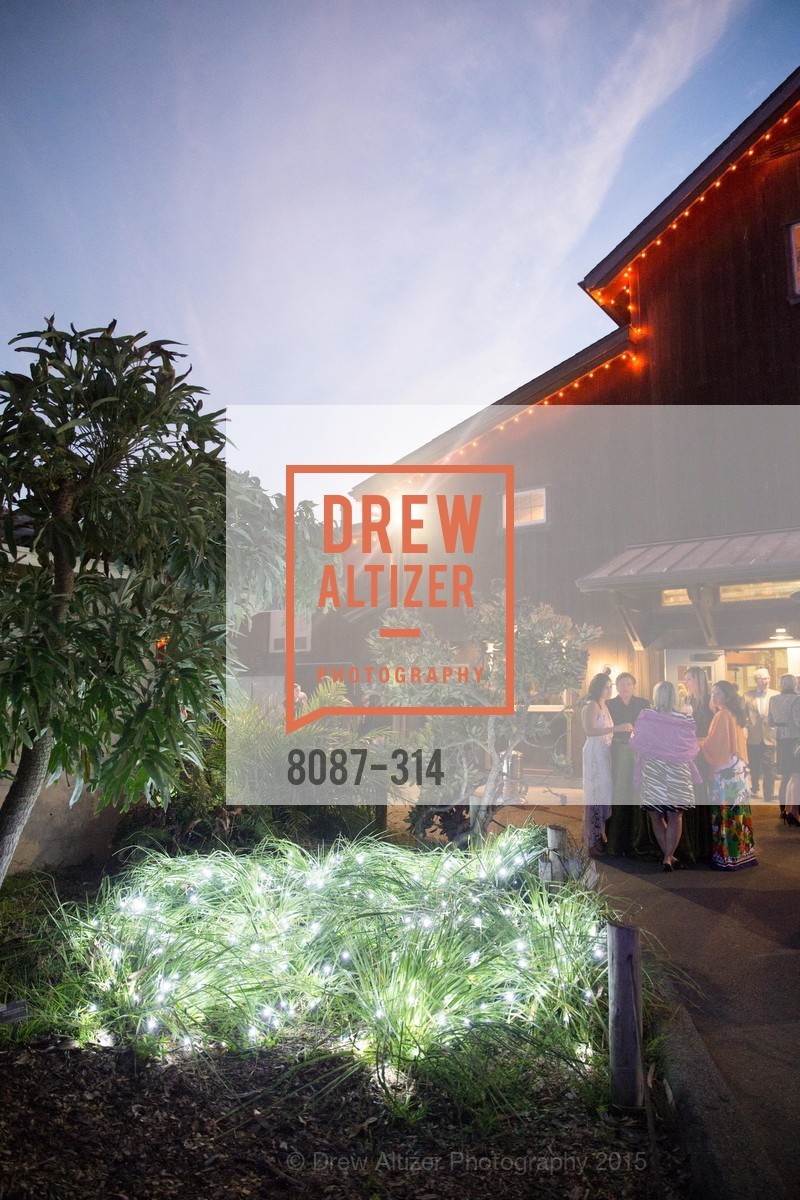 Atmosphere, San Francisco Zoo Fur Ball, San Francisco Zoo, September 25th, 2015