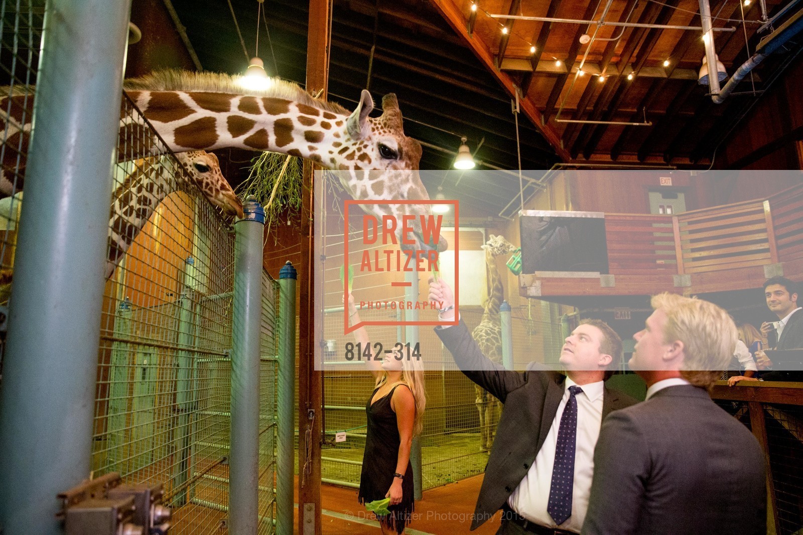 Extras, San Francisco Zoo Fur Ball, September 25th, 2015, Photo
