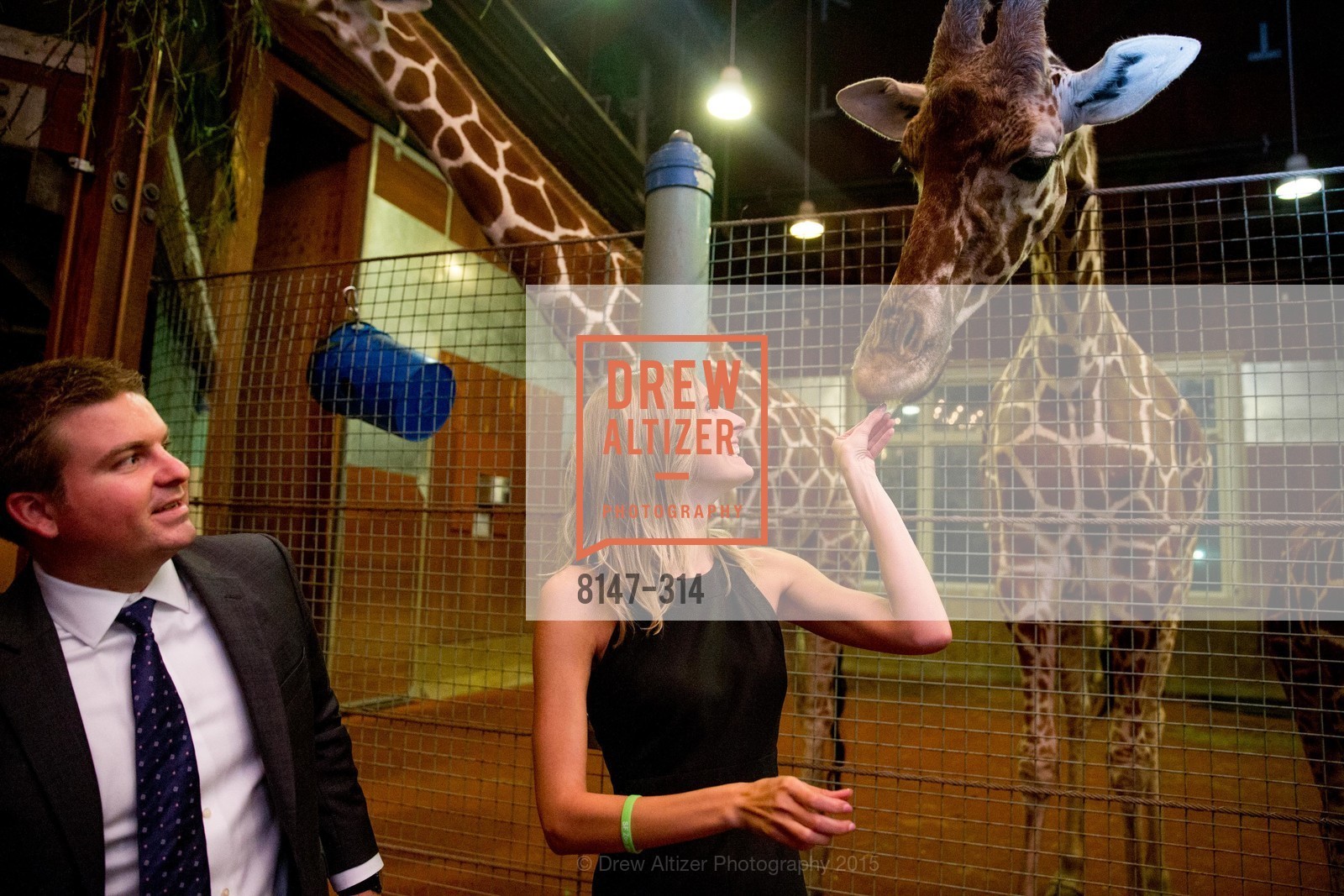 Extras, San Francisco Zoo Fur Ball, September 25th, 2015, Photo