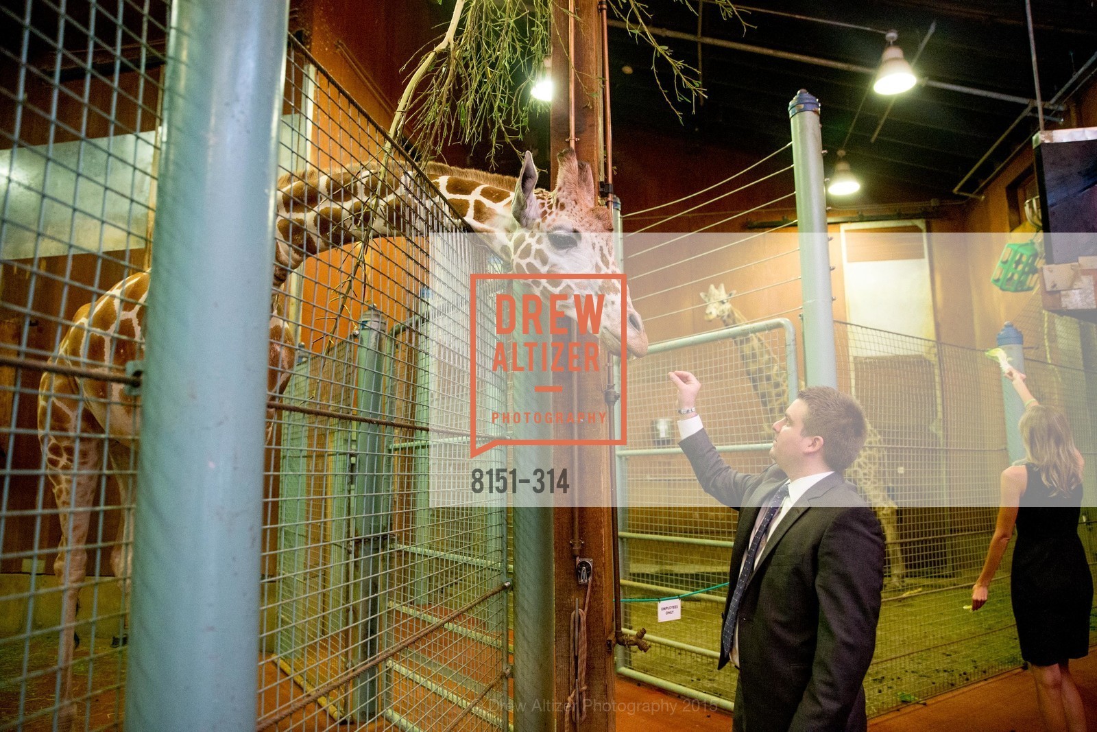 Extras, San Francisco Zoo Fur Ball, September 25th, 2015, Photo,Drew Altizer, Drew Altizer Photography, full-service agency, private events, San Francisco photographer, photographer california