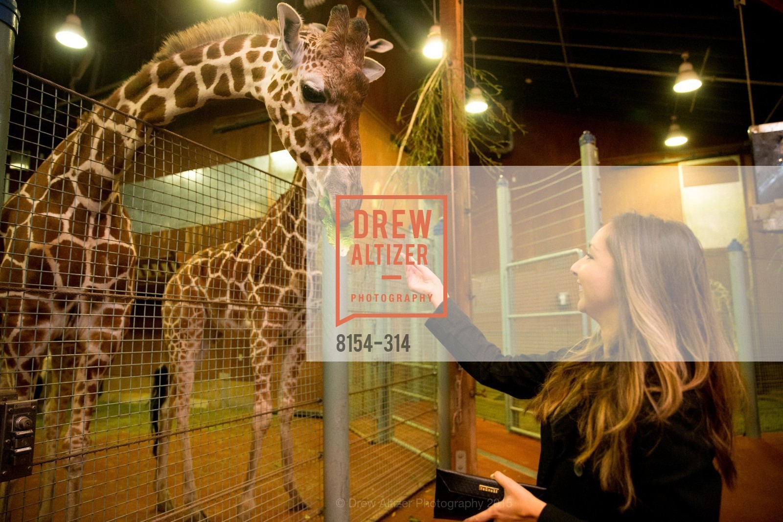Atmosphere, San Francisco Zoo Fur Ball, San Francisco Zoo, September 25th, 2015