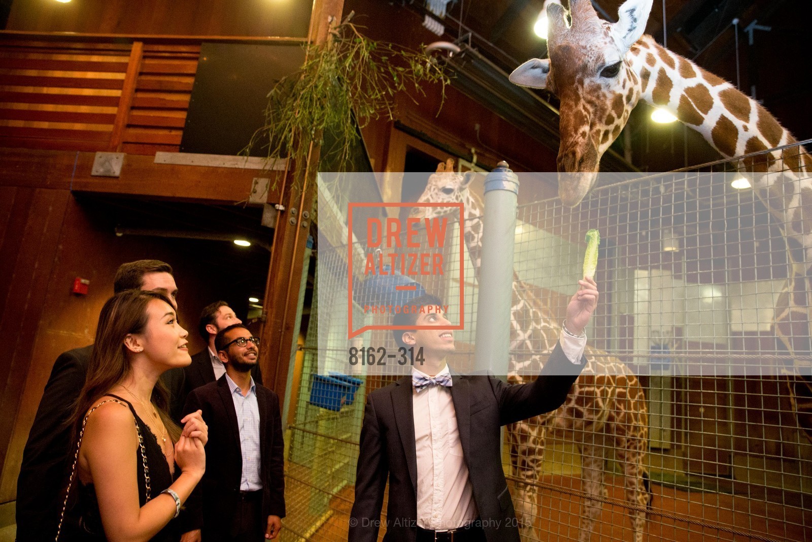 Extras, San Francisco Zoo Fur Ball, September 25th, 2015, Photo