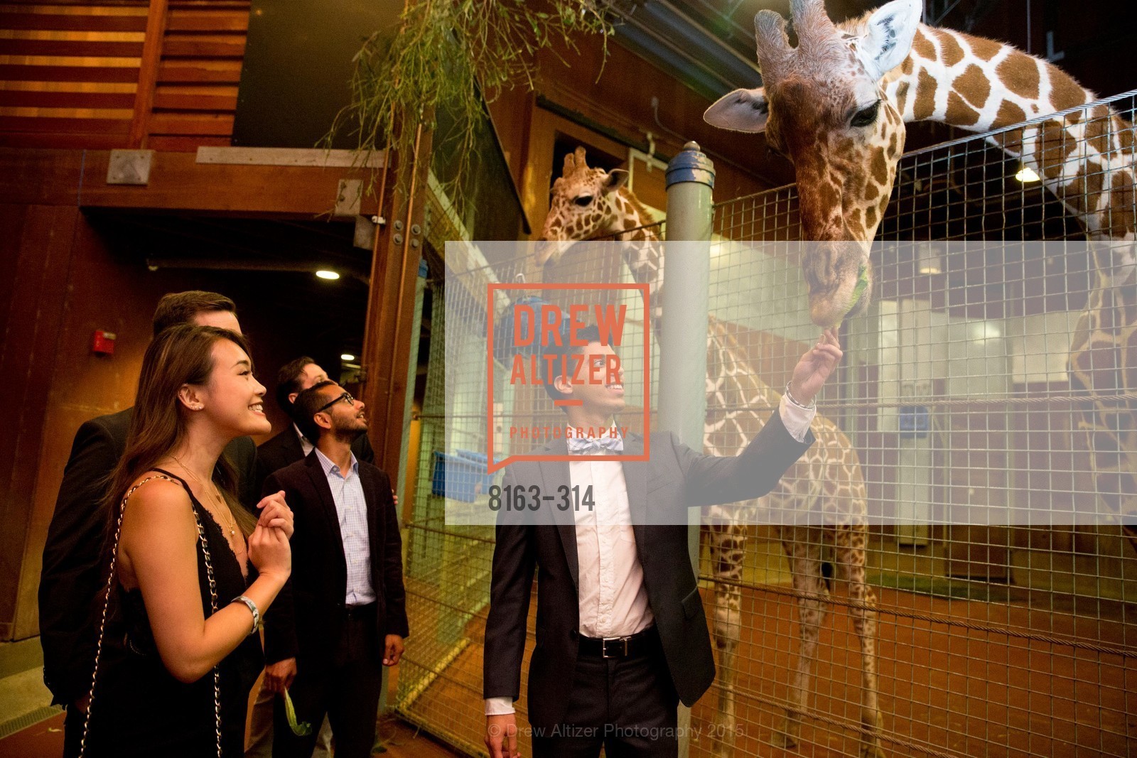 Top Picks, San Francisco Zoo Fur Ball, September 25th, 2015, Photo,Drew Altizer, Drew Altizer Photography, full-service agency, private events, San Francisco photographer, photographer california