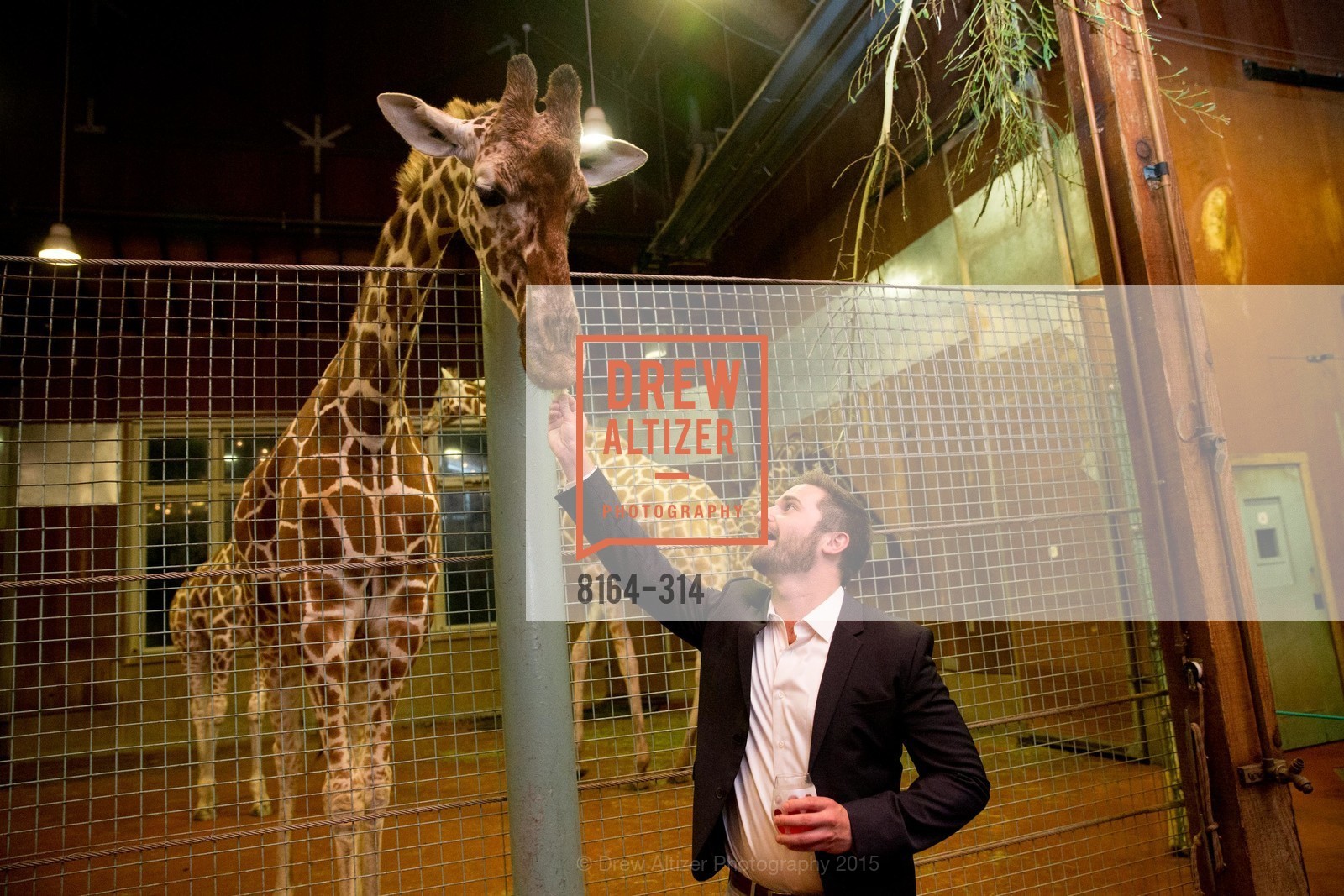 Extras, San Francisco Zoo Fur Ball, September 25th, 2015, Photo