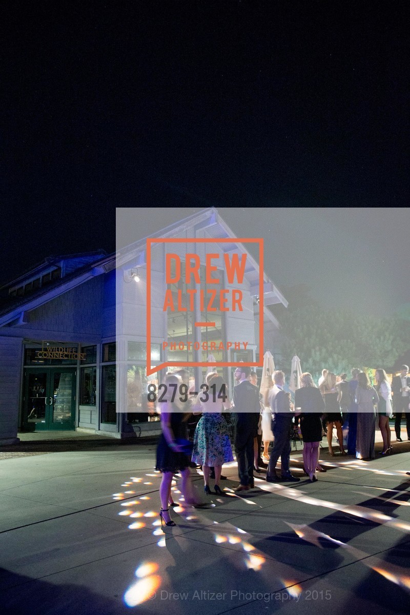Atmosphere, San Francisco Zoo Fur Ball, San Francisco Zoo, September 25th, 2015