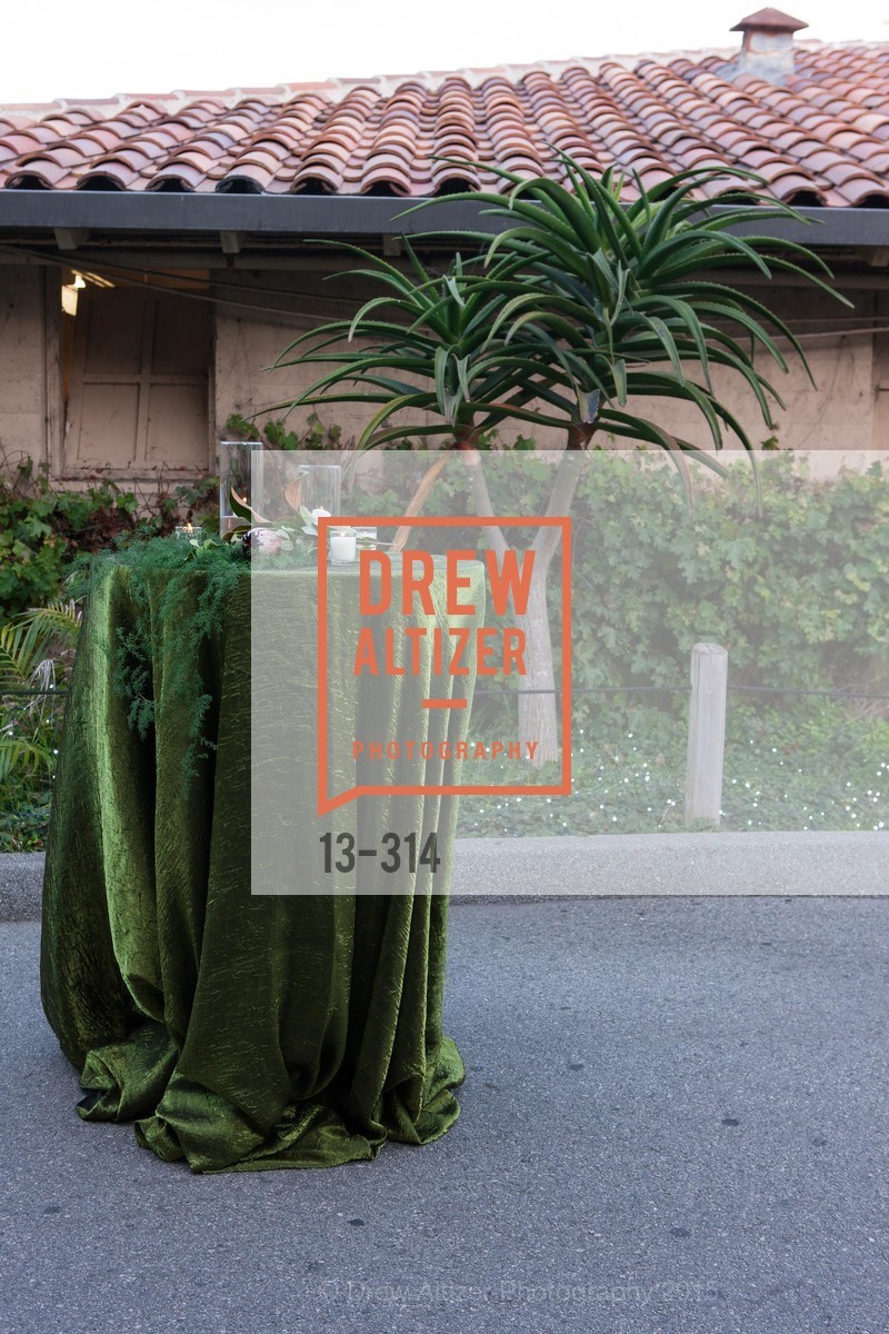 Atmosphere, San Francisco Zoo Fur Ball, San Francisco Zoo, September 25th, 2015