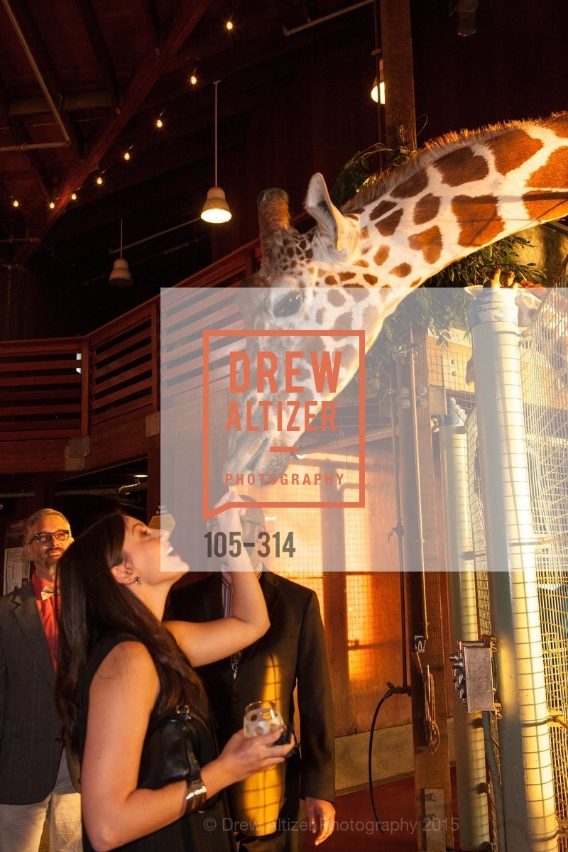 Aly Spradlin, San Francisco Zoo Fur Ball, San Francisco Zoo, September 25th, 2015,Drew Altizer, Drew Altizer Photography, full-service agency, private events, San Francisco photographer, photographer california