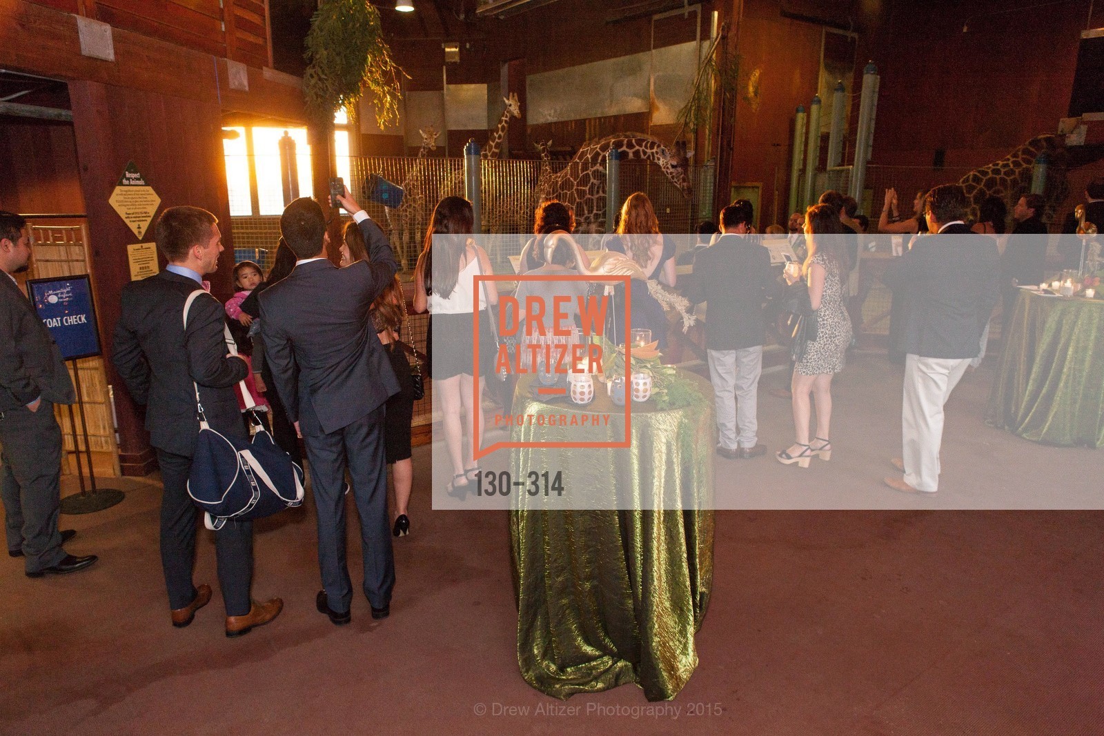 Atmosphere, San Francisco Zoo Fur Ball, San Francisco Zoo, September 25th, 2015