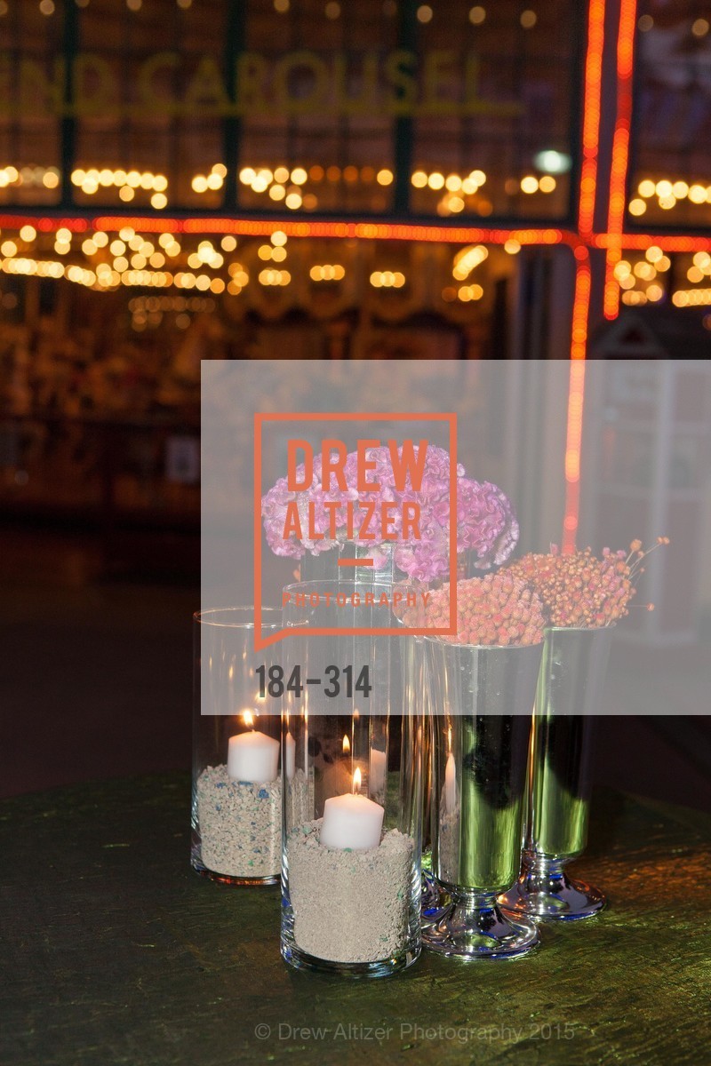 Atmosphere, San Francisco Zoo Fur Ball, San Francisco Zoo, September 25th, 2015