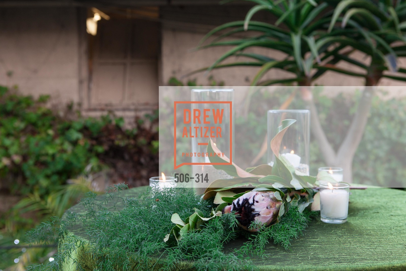 Atmosphere, San Francisco Zoo Fur Ball, San Francisco Zoo, September 25th, 2015,Drew Altizer, Drew Altizer Photography, full-service event agency, private events, San Francisco photographer, photographer California