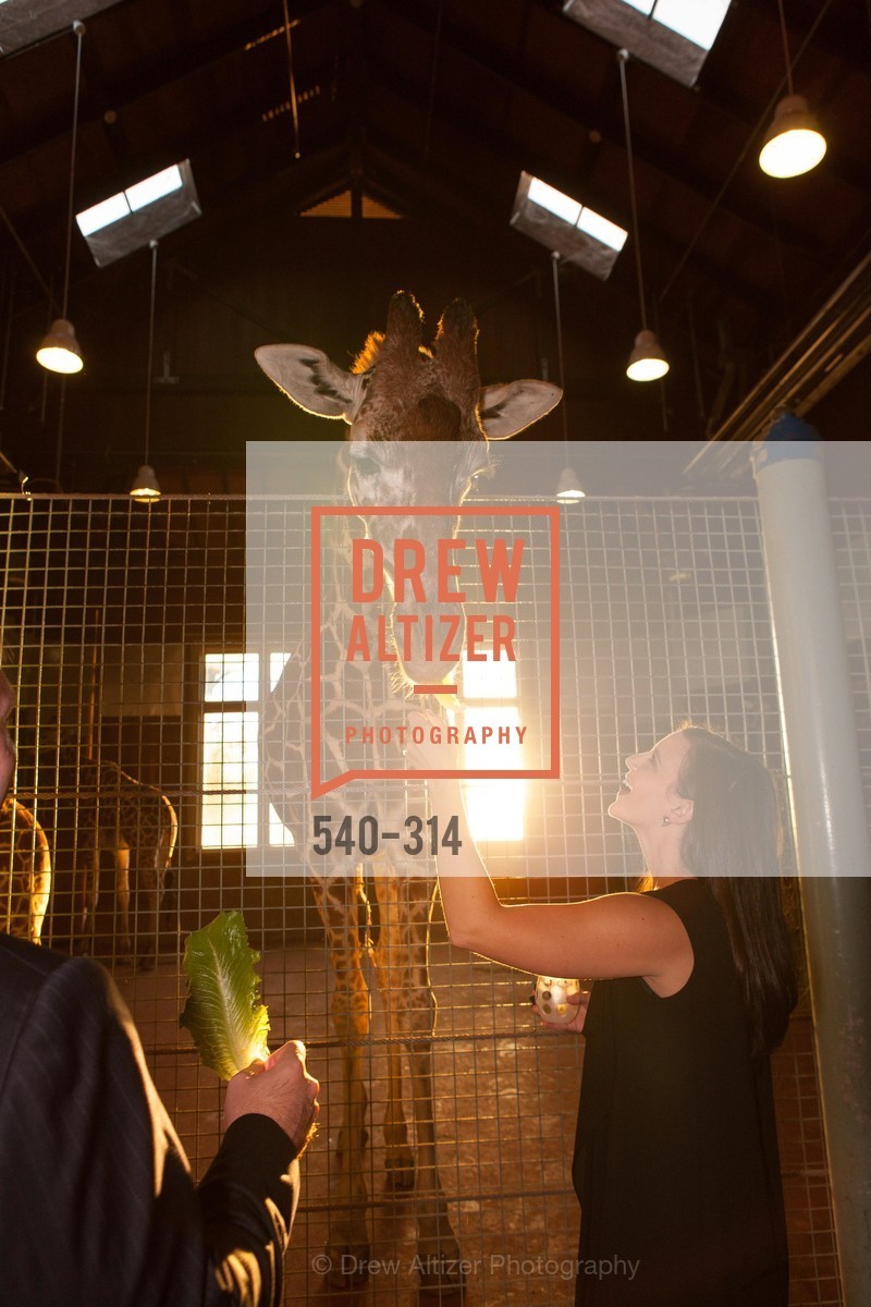 Aly Spradlin, San Francisco Zoo Fur Ball, San Francisco Zoo, September 25th, 2015