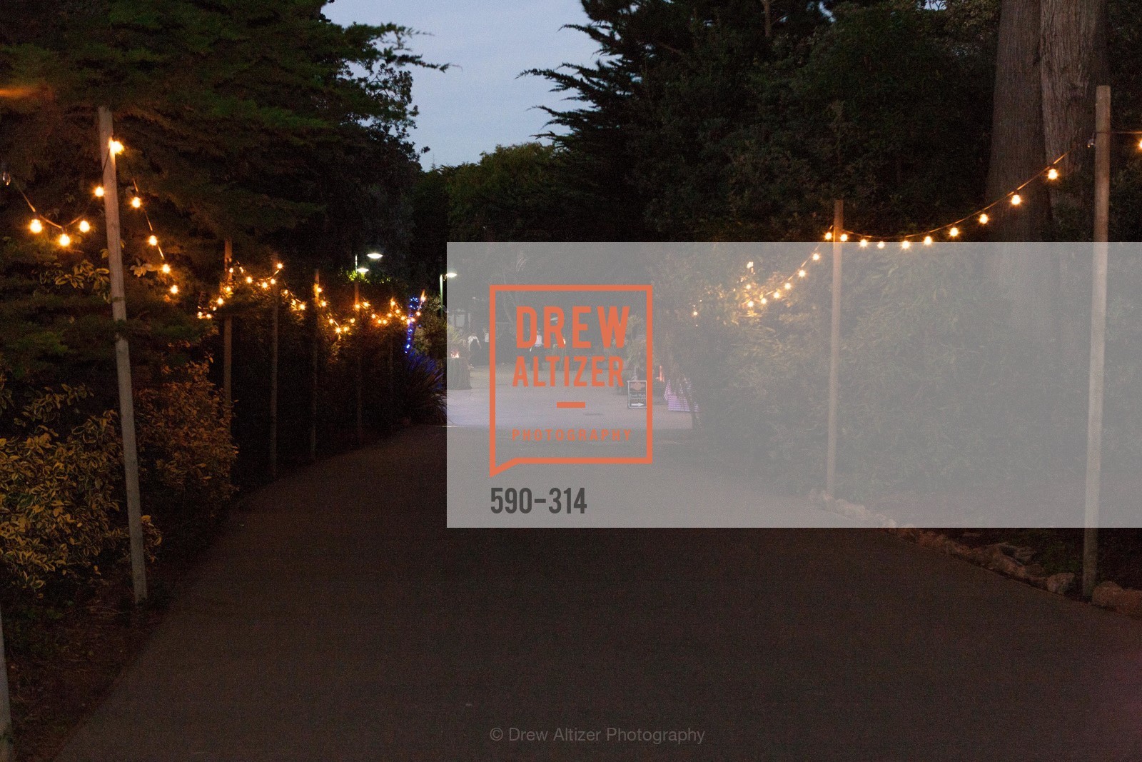 Atmosphere, San Francisco Zoo Fur Ball, San Francisco Zoo, September 25th, 2015