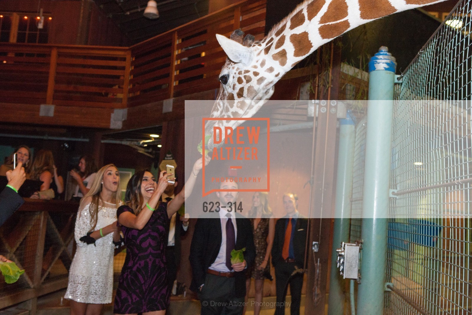 Atmosphere, Gucci & Vogue Dinner, San Francisco Zoo. San Francisco Zoo, Photo #623-314 Atmosphere, Photo #623-314