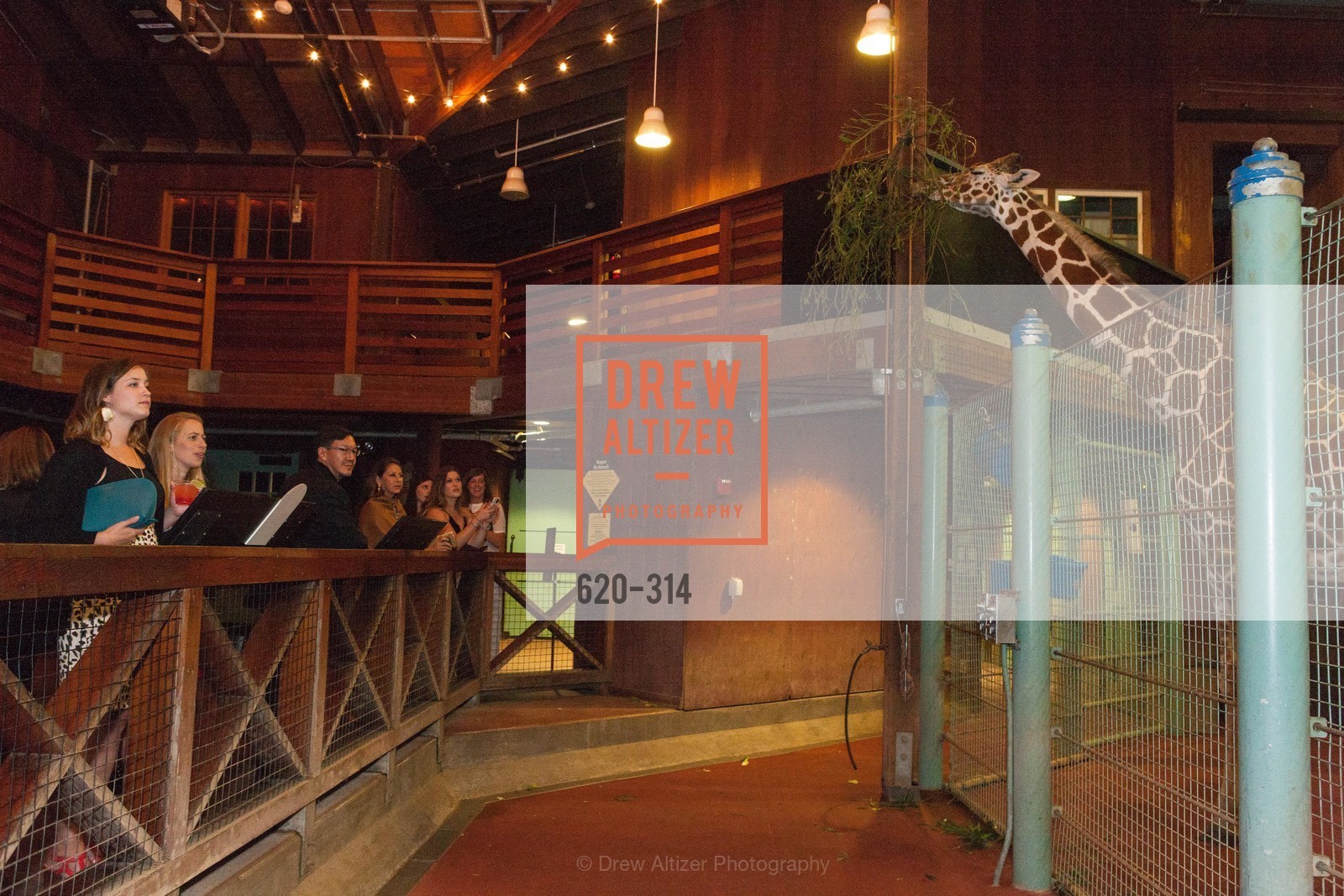 Atmosphere, Gucci & Vogue Dinner, San Francisco Zoo. San Francisco Zoo, Photo #620-314 Atmosphere, Photo #620-314