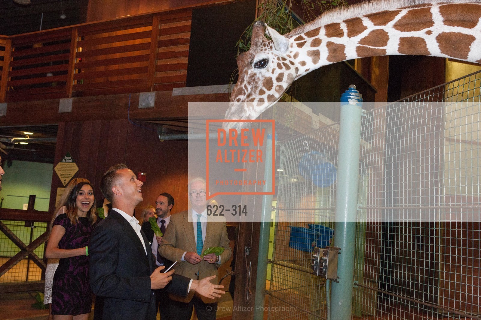 Atmosphere, Gucci & Vogue Dinner, San Francisco Zoo. San Francisco Zoo, Photo #622-314 Atmosphere, Photo #622-314