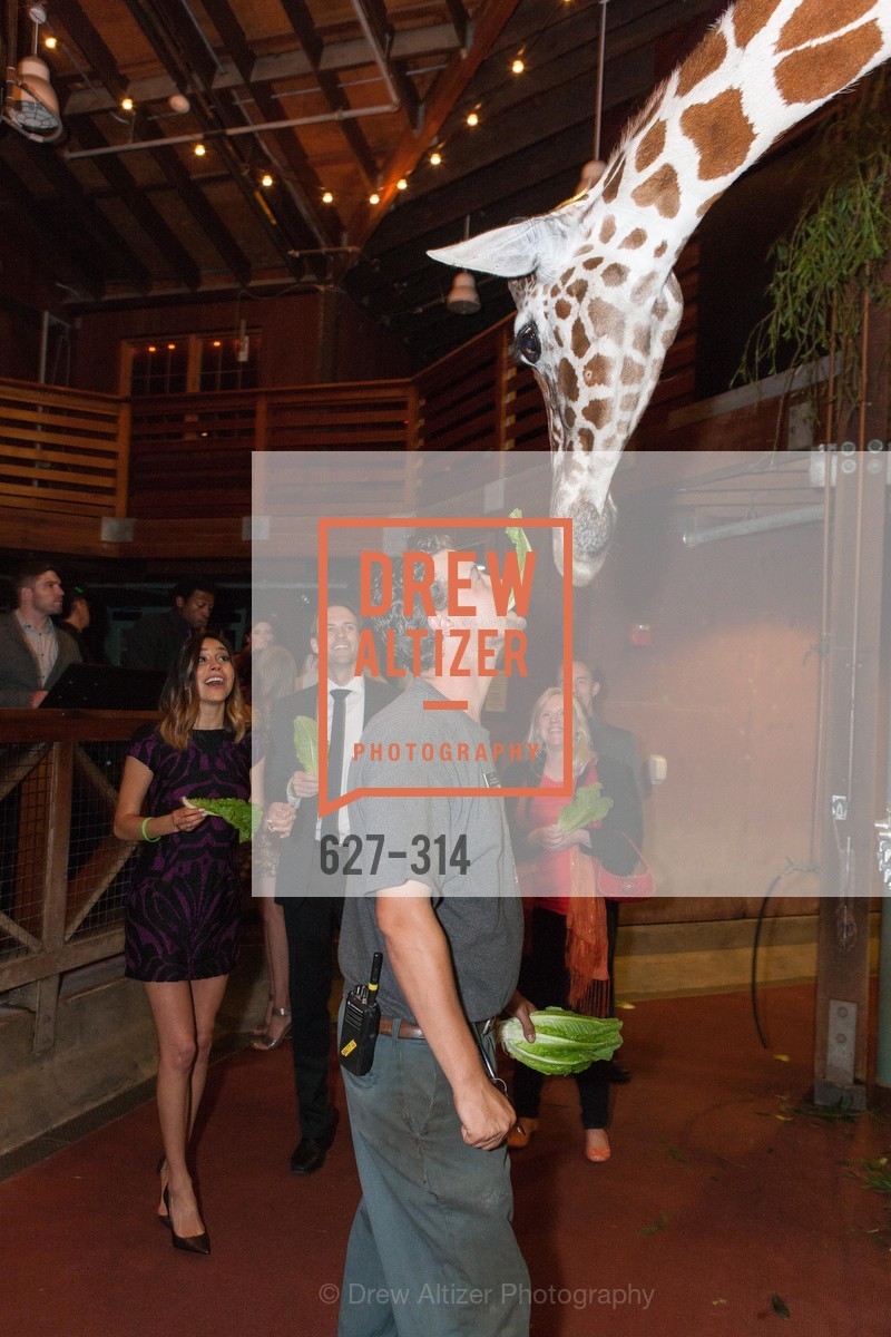 Gucci & Vogue Dinner, San Francisco Zoo. San Francisco Zoo, Photo #627-314 Photo #627-314