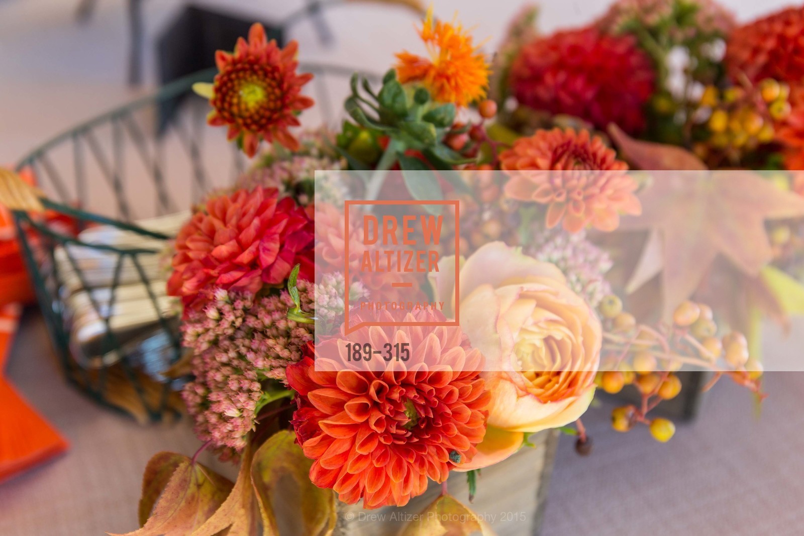 Atmosphere, IN THE SPIRIT OF NAPA VALLEY Book Signing With Jennifer Raiser, Round Hill. 101 Rutherford Hill Road, September 26th, 2015,Drew Altizer, Drew Altizer Photography, full-service agency, private events, San Francisco photographer, photographer california