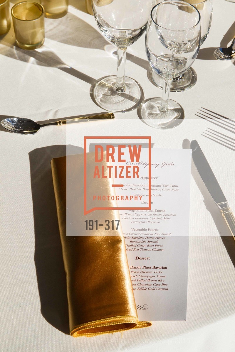 Atmosphere, CuriOdyssey At Coyote Point 2015 Gala, CuriOdyssey. 401 El Cerrito Avenue, September 26th, 2015,Drew Altizer, Drew Altizer Photography, full-service agency, private events, San Francisco photographer, photographer california