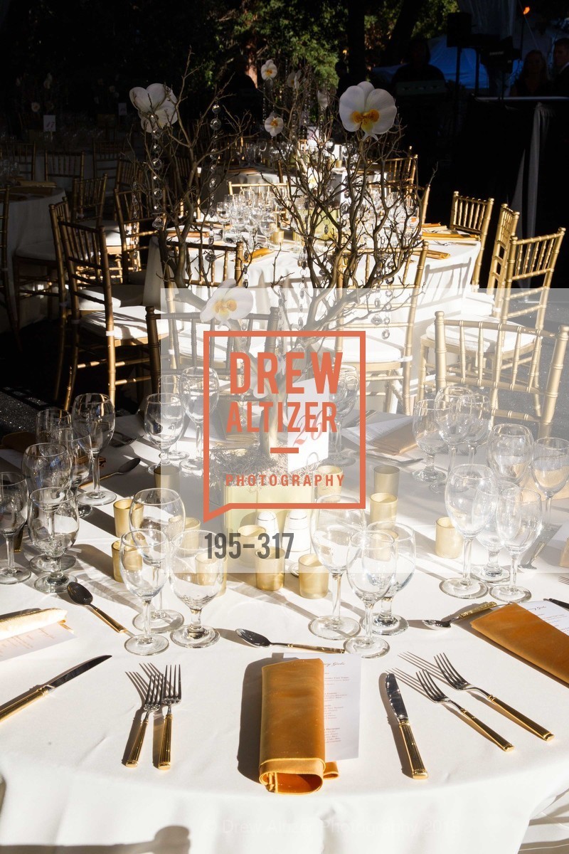 Atmosphere, CuriOdyssey At Coyote Point 2015 Gala, CuriOdyssey. 401 El Cerrito Avenue, September 26th, 2015,Drew Altizer, Drew Altizer Photography, full-service agency, private events, San Francisco photographer, photographer california