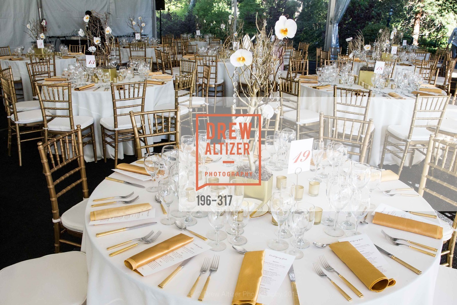 Atmosphere, CuriOdyssey At Coyote Point 2015 Gala, CuriOdyssey. 401 El Cerrito Avenue, September 26th, 2015,Drew Altizer, Drew Altizer Photography, full-service agency, private events, San Francisco photographer, photographer california