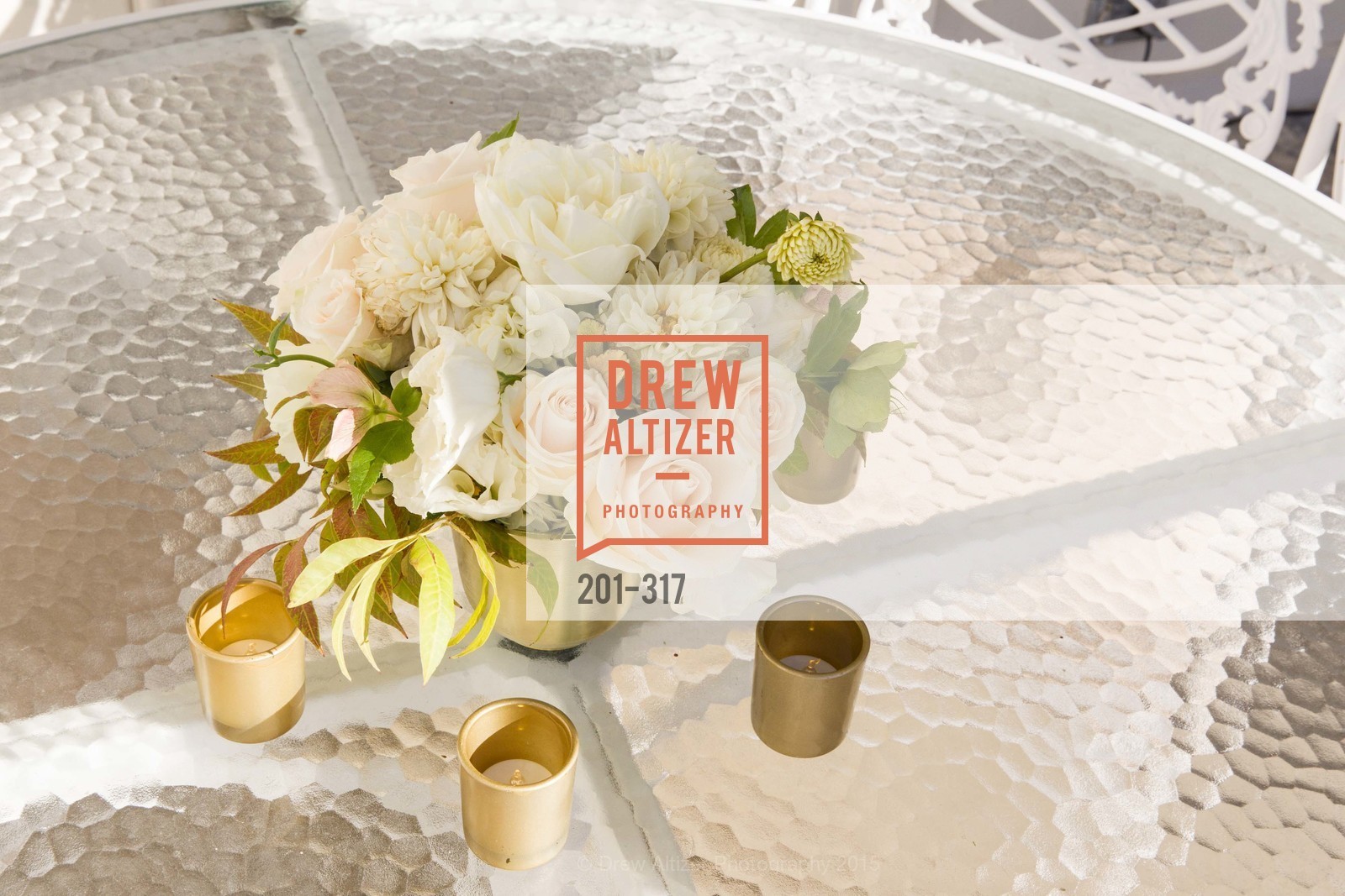 Atmosphere, CuriOdyssey At Coyote Point 2015 Gala, CuriOdyssey. 401 El Cerrito Avenue, September 26th, 2015,Drew Altizer, Drew Altizer Photography, full-service agency, private events, San Francisco photographer, photographer california