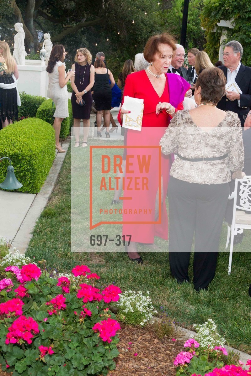 Extras, CuriOdyssey At Coyote Point 2015 Gala, September 26th, 2015, Photo,Drew Altizer, Drew Altizer Photography, full-service agency, private events, San Francisco photographer, photographer california