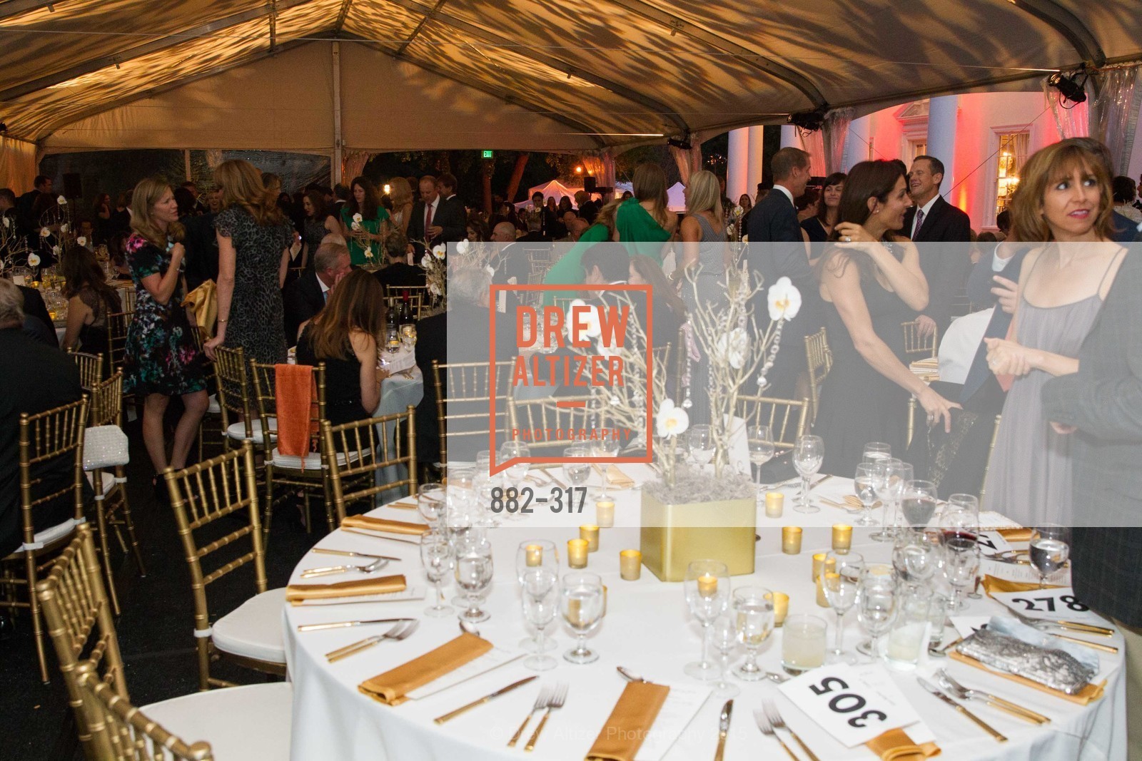 Atmosphere, CuriOdyssey At Coyote Point 2015 Gala, CuriOdyssey. 401 El Cerrito Avenue, September 26th, 2015,Drew Altizer, Drew Altizer Photography, full-service agency, private events, San Francisco photographer, photographer california