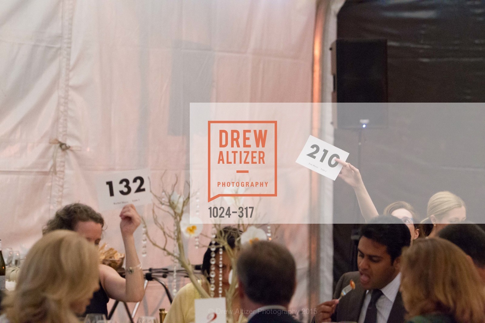 Atmosphere, CuriOdyssey At Coyote Point 2015 Gala, CuriOdyssey. 401 El Cerrito Avenue, September 26th, 2015,Drew Altizer, Drew Altizer Photography, full-service agency, private events, San Francisco photographer, photographer california