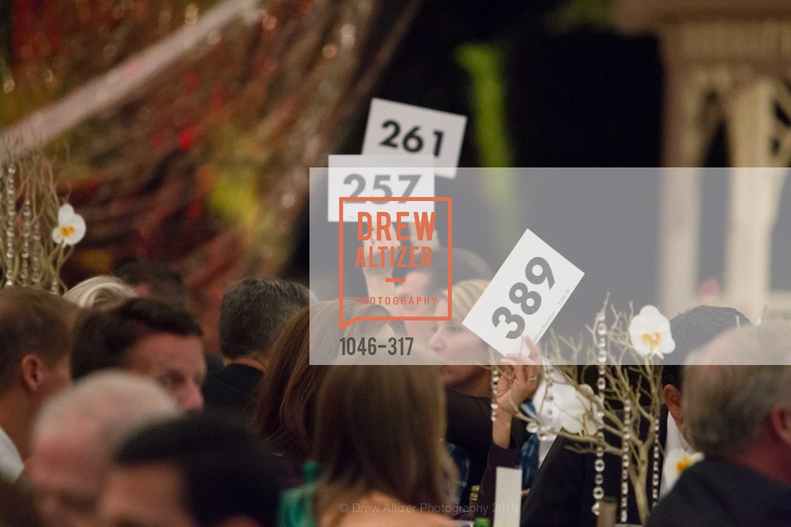 Atmosphere, CuriOdyssey At Coyote Point 2015 Gala, CuriOdyssey. 401 El Cerrito Avenue, September 26th, 2015,Drew Altizer, Drew Altizer Photography, full-service agency, private events, San Francisco photographer, photographer california