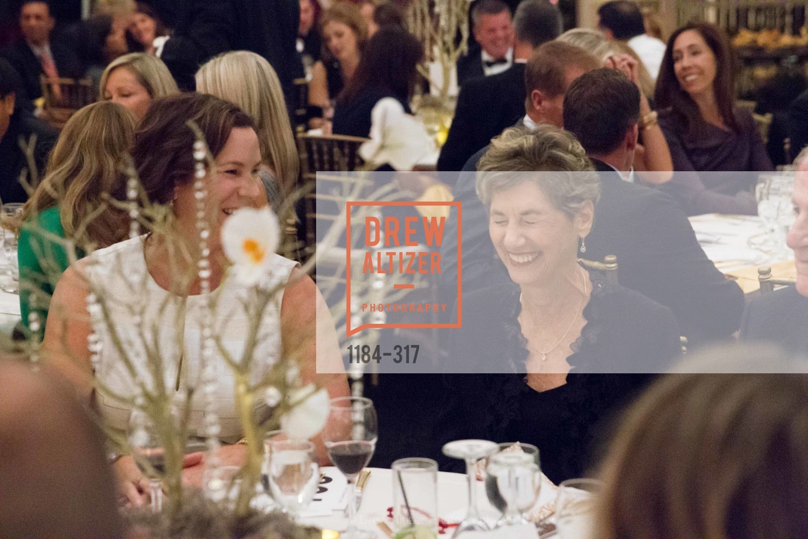 Extras, CuriOdyssey At Coyote Point 2015 Gala, September 26th, 2015, Photo,Drew Altizer, Drew Altizer Photography, full-service agency, private events, San Francisco photographer, photographer california