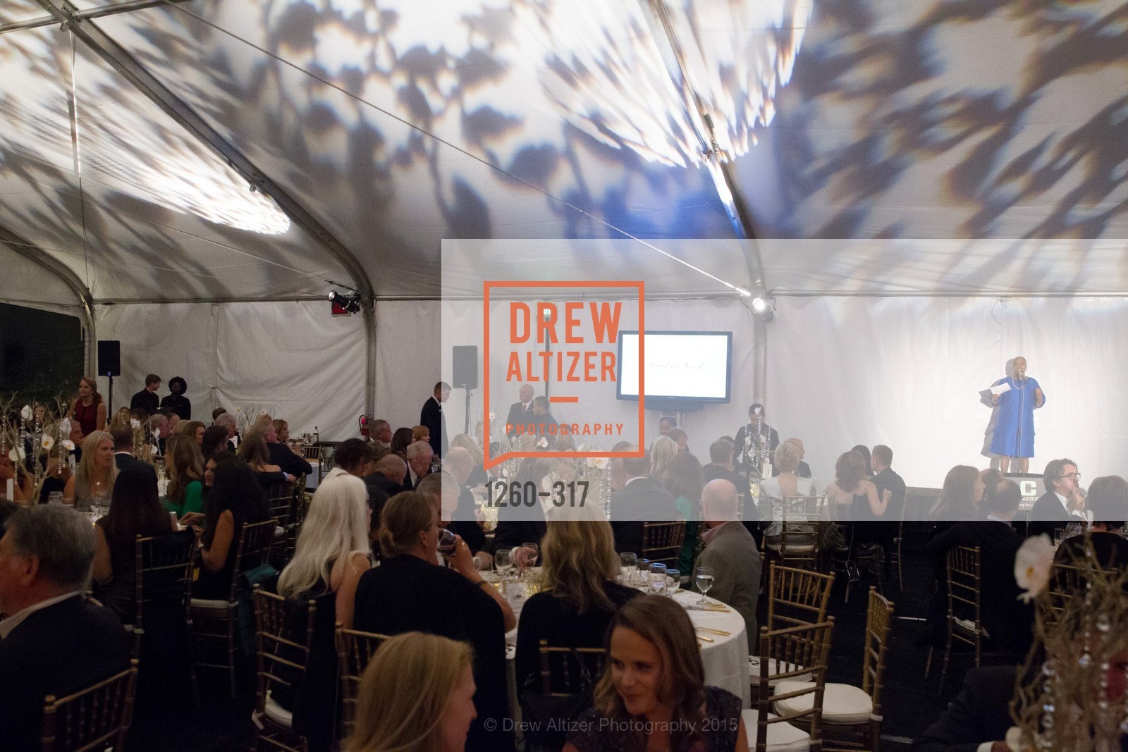 Atmosphere, CuriOdyssey At Coyote Point 2015 Gala, CuriOdyssey. 401 El Cerrito Avenue, September 26th, 2015,Drew Altizer, Drew Altizer Photography, full-service agency, private events, San Francisco photographer, photographer california