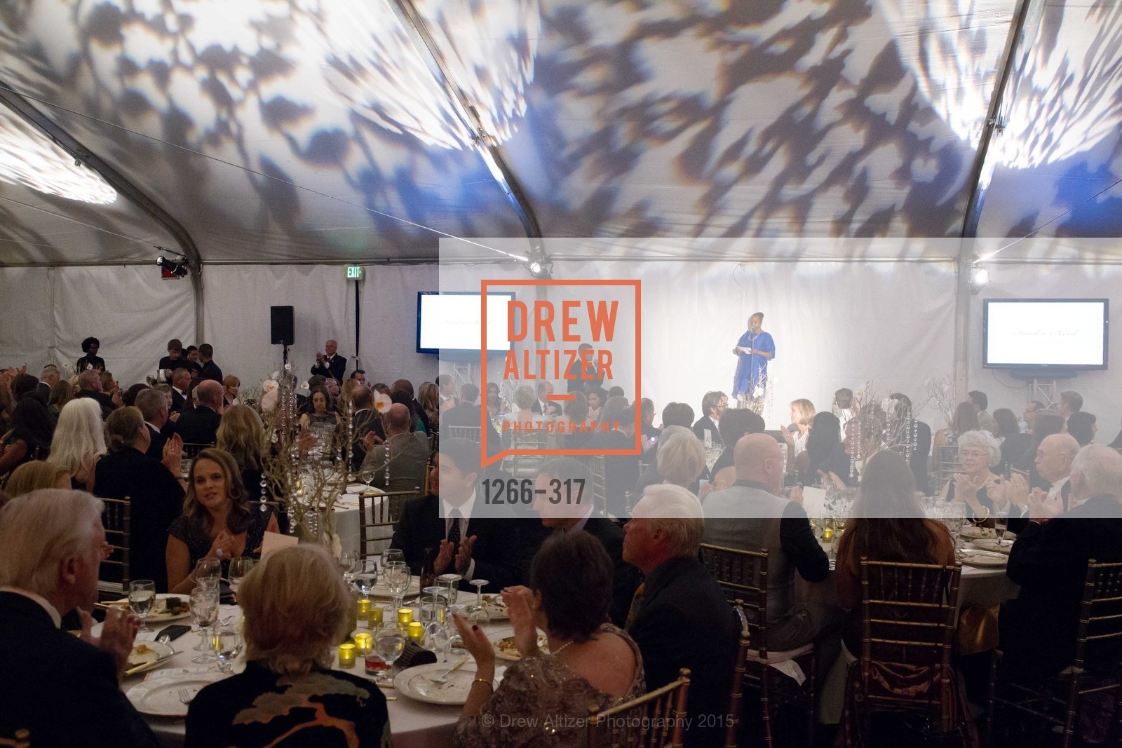 Atmosphere, CuriOdyssey At Coyote Point 2015 Gala, CuriOdyssey. 401 El Cerrito Avenue, September 26th, 2015,Drew Altizer, Drew Altizer Photography, full-service agency, private events, San Francisco photographer, photographer california