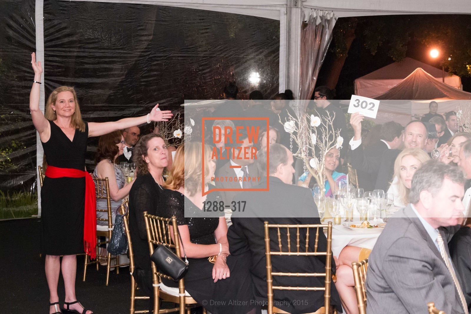 Atmosphere, CuriOdyssey At Coyote Point 2015 Gala, CuriOdyssey. 401 El Cerrito Avenue, September 26th, 2015,Drew Altizer, Drew Altizer Photography, full-service event agency, private events, San Francisco photographer, photographer California