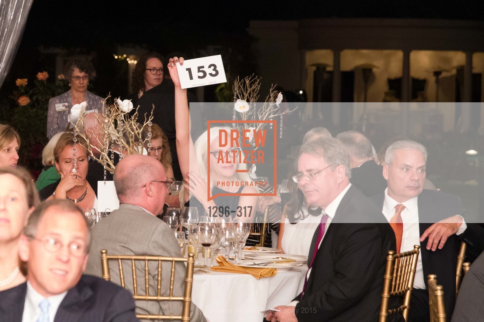 Extras, CuriOdyssey At Coyote Point 2015 Gala, September 26th, 2015, Photo,Drew Altizer, Drew Altizer Photography, full-service agency, private events, San Francisco photographer, photographer california