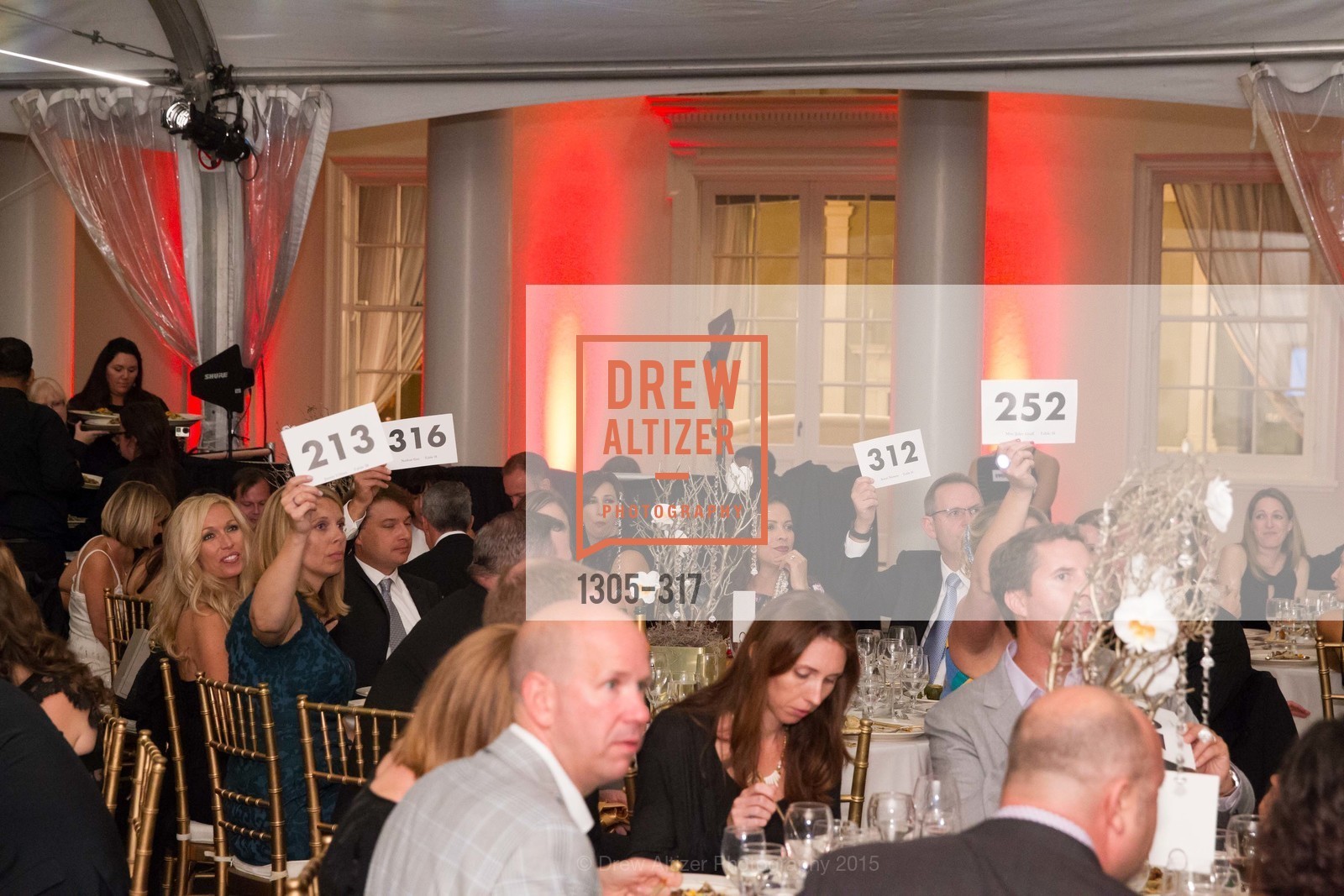 Atmosphere, CuriOdyssey At Coyote Point 2015 Gala, CuriOdyssey. 401 El Cerrito Avenue, September 26th, 2015,Drew Altizer, Drew Altizer Photography, full-service agency, private events, San Francisco photographer, photographer california