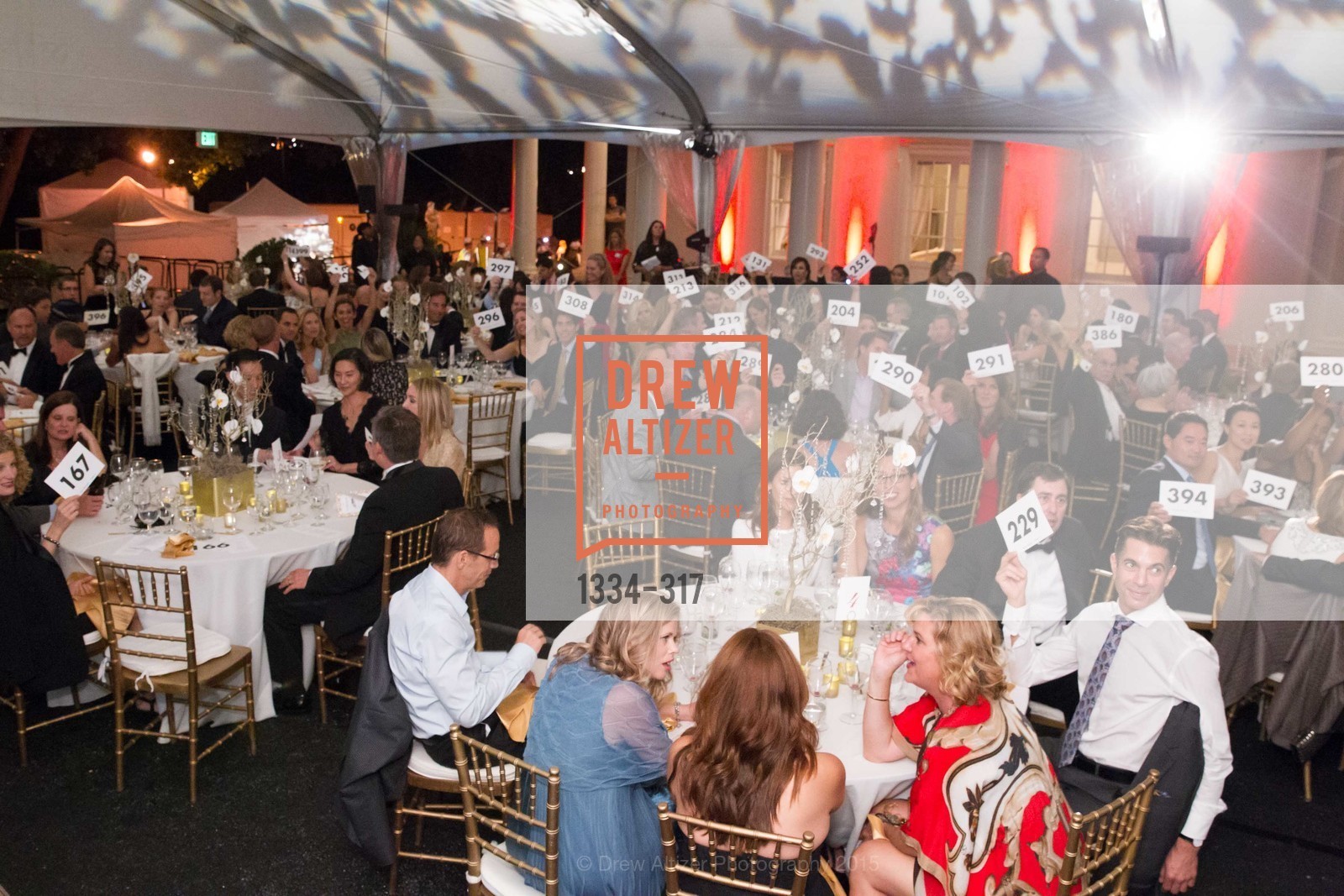 Atmosphere, CuriOdyssey At Coyote Point 2015 Gala, CuriOdyssey. 401 El Cerrito Avenue, September 26th, 2015,Drew Altizer, Drew Altizer Photography, full-service agency, private events, San Francisco photographer, photographer california