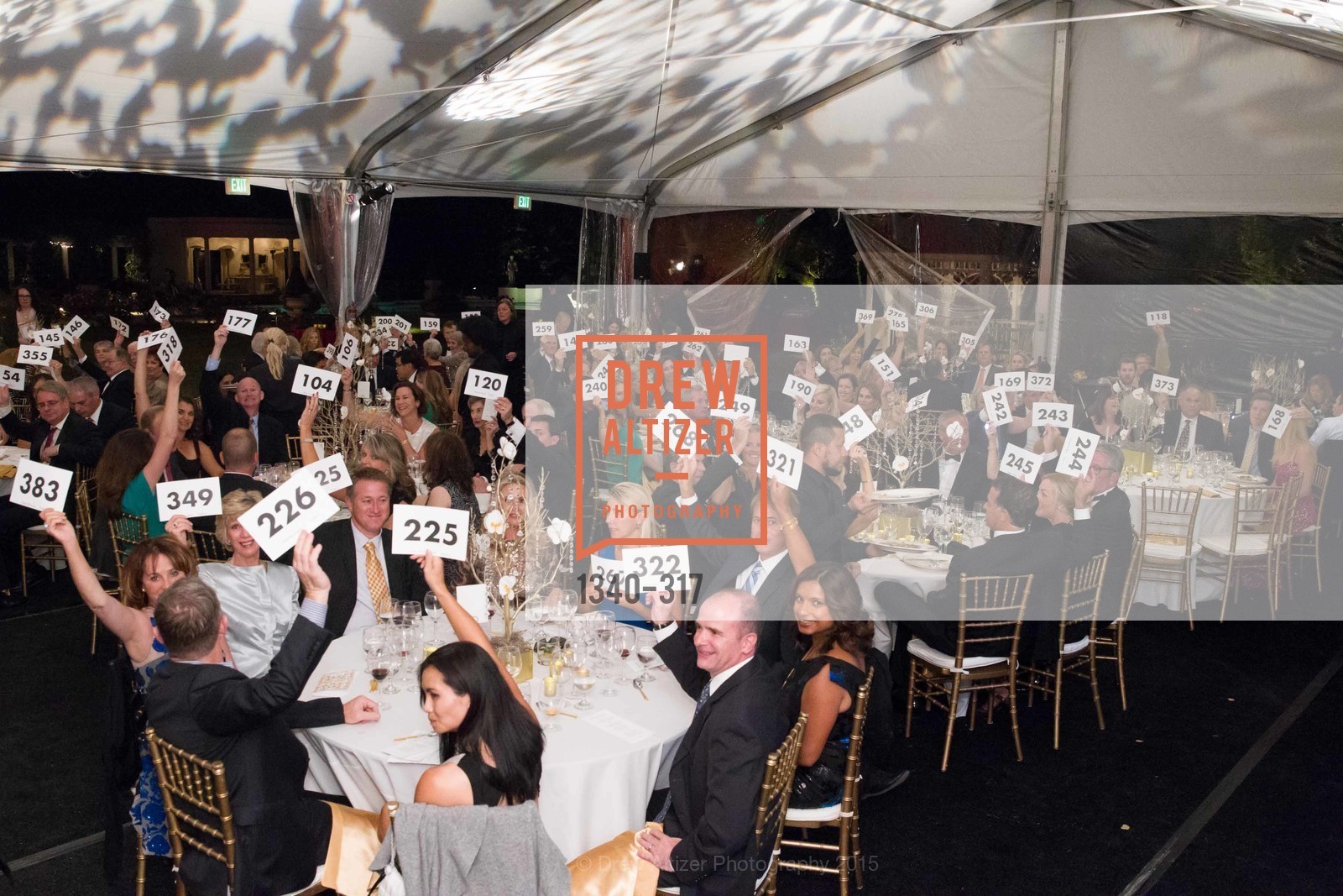 Atmosphere, CuriOdyssey At Coyote Point 2015 Gala, CuriOdyssey. 401 El Cerrito Avenue, September 26th, 2015