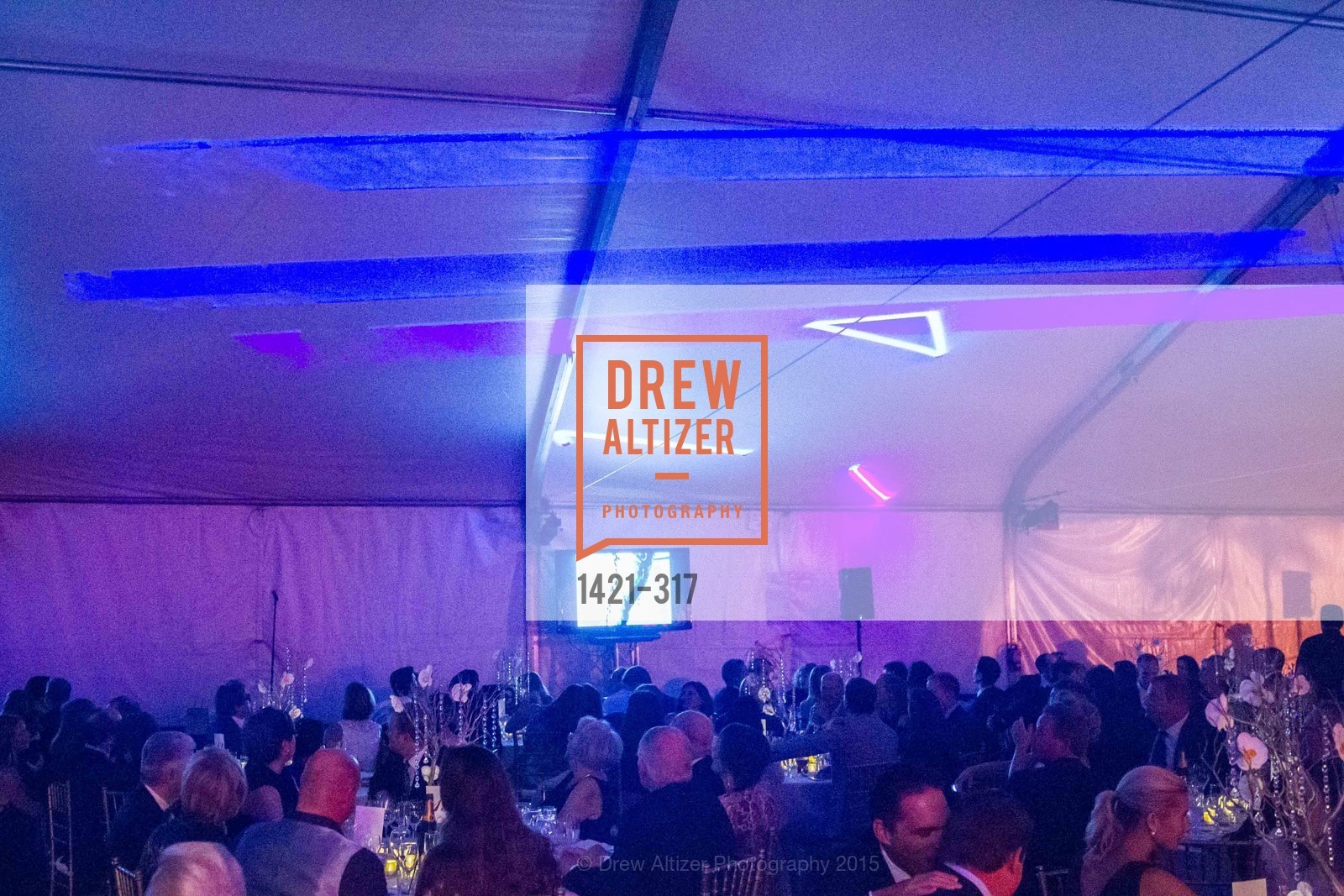 Atmosphere, CuriOdyssey At Coyote Point 2015 Gala, CuriOdyssey. 401 El Cerrito Avenue, September 26th, 2015,Drew Altizer, Drew Altizer Photography, full-service event agency, private events, San Francisco photographer, photographer California