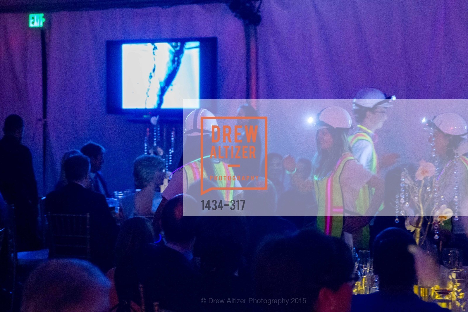 Atmosphere, CuriOdyssey At Coyote Point 2015 Gala, CuriOdyssey. 401 El Cerrito Avenue, September 26th, 2015,Drew Altizer, Drew Altizer Photography, full-service agency, private events, San Francisco photographer, photographer california